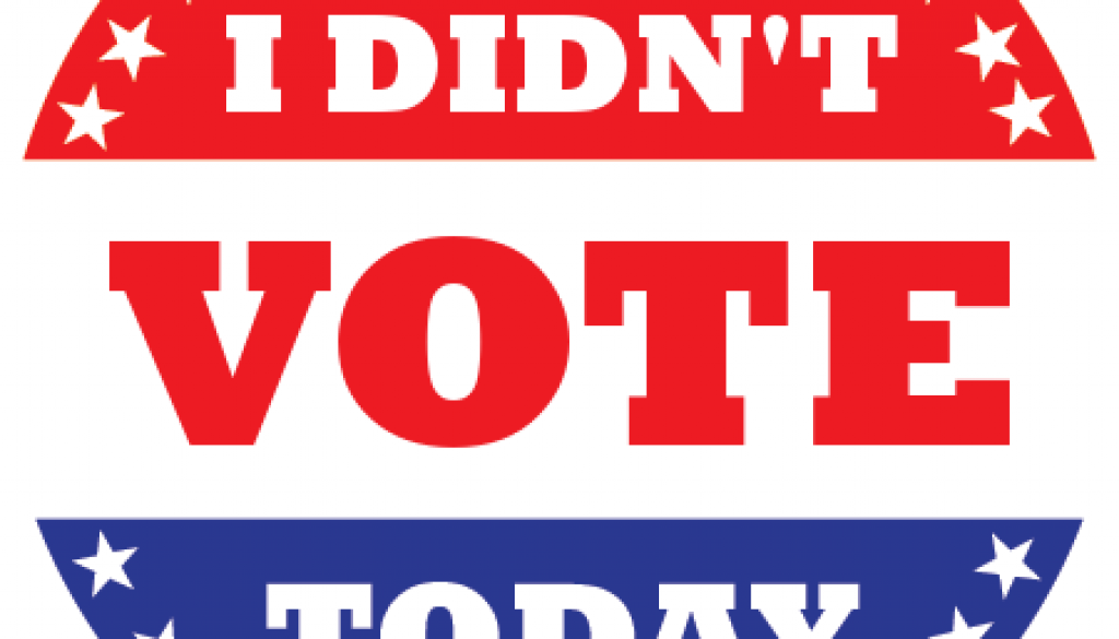i-didnt-vote i-didnt-vote